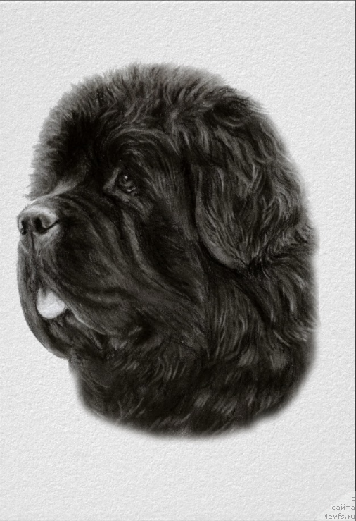 Фотография № 175597