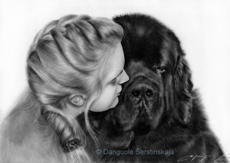 Фотография № 175598