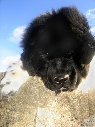 Фотография № 17563