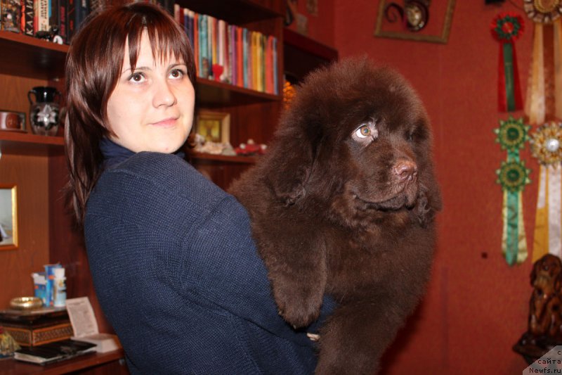 Фотография № 175633