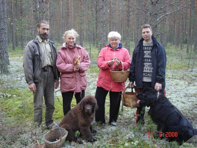 Фотография № 17567