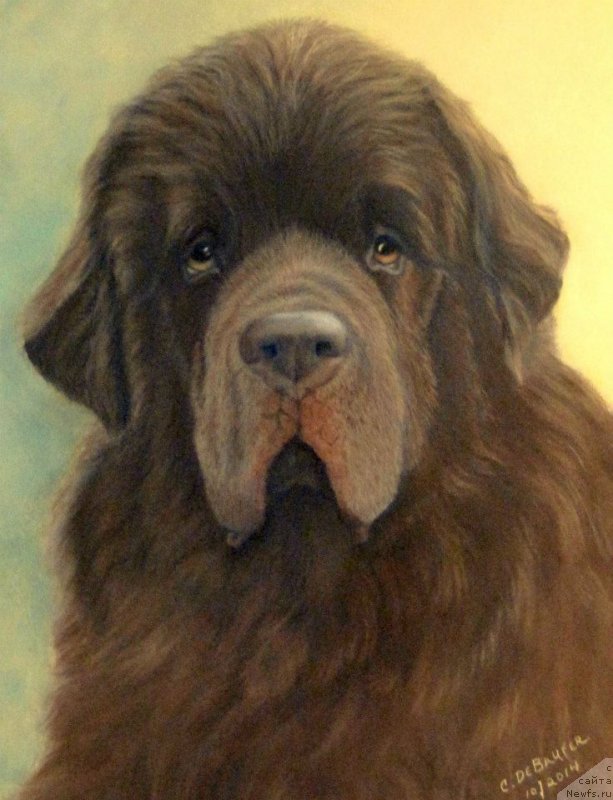 Фотография № 175698