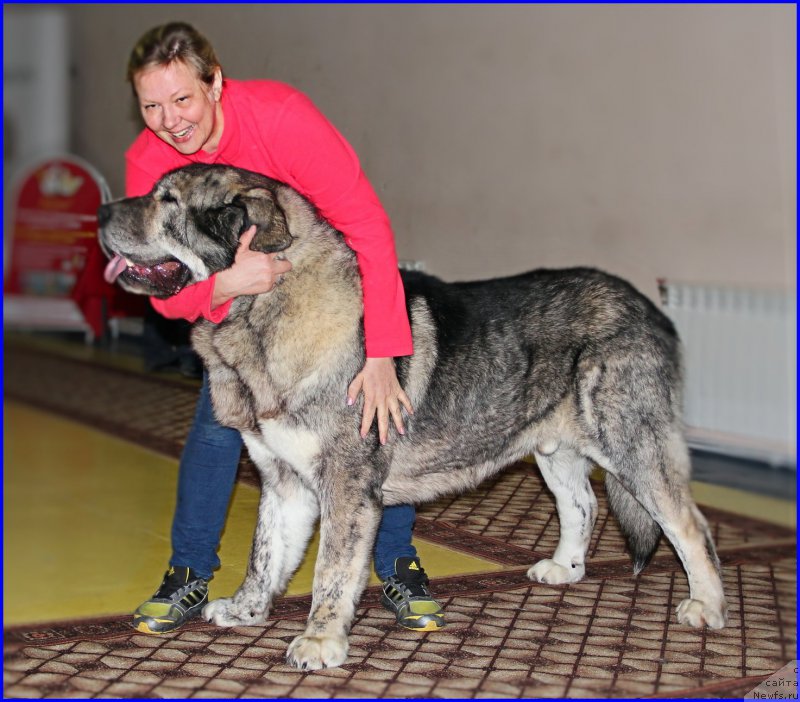 Фото: Лена Зырина, ДЕН