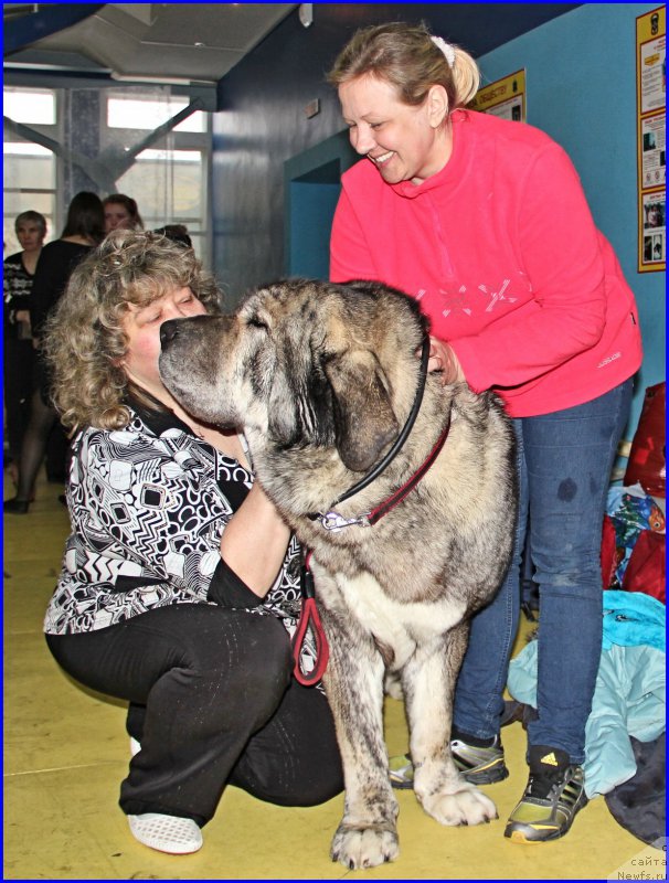 Фото: Лена Зырина, Ирина Панюшкина, ДЕН