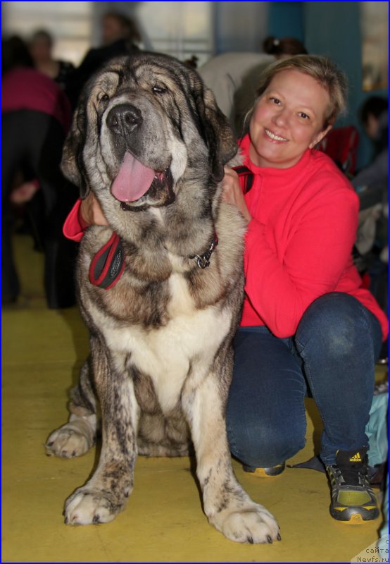 Фотография № 175711