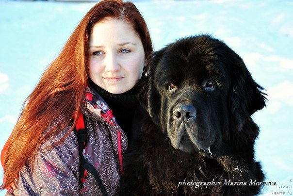 Фотография № 175749