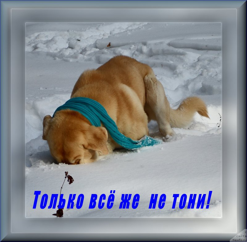 Фотография № 175755