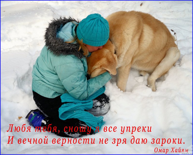 Фотография № 175757