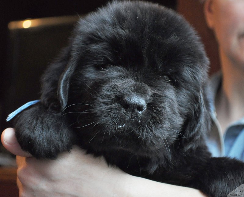 Фотография № 175790