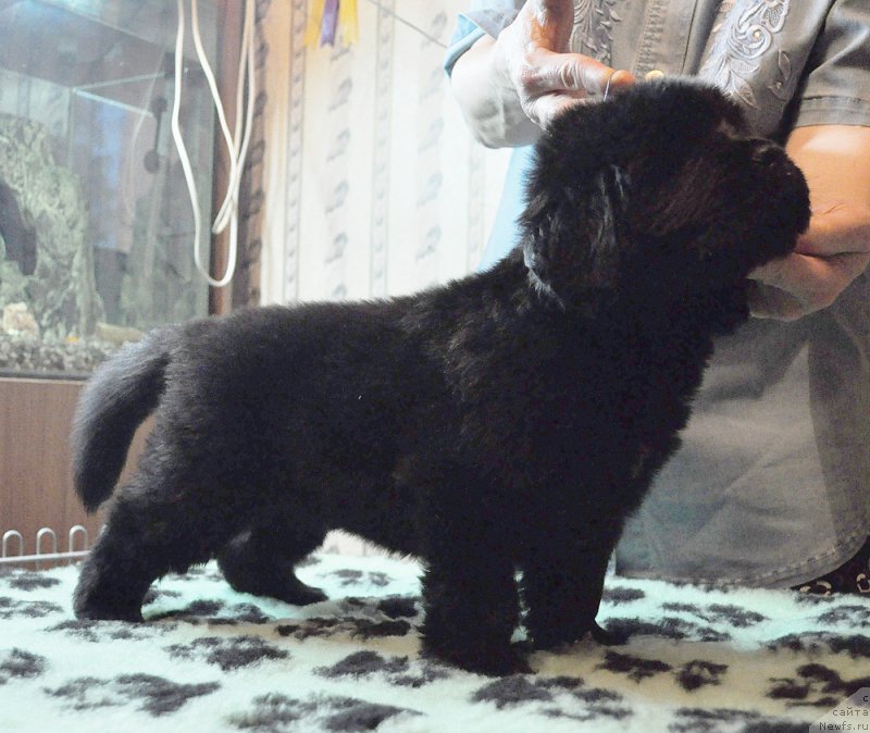 Фотография № 175792