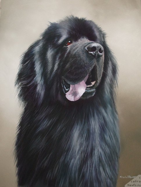 Фотография № 175794