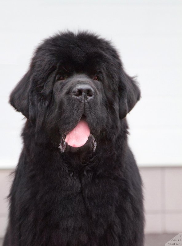 Фотография № 175796