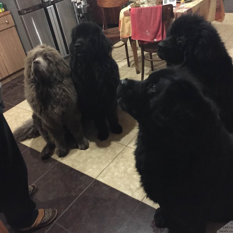 Фотография № 175797