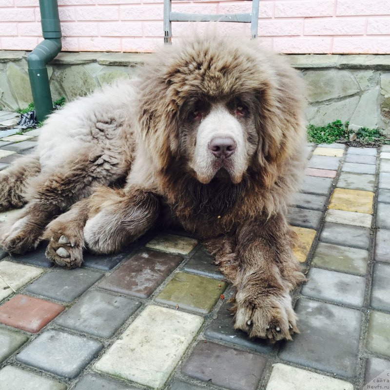 Фотография № 175798