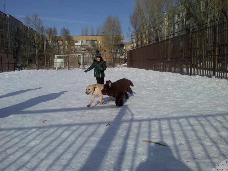 Фотография № 175810