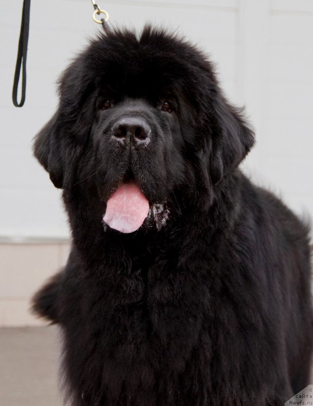 Фотография № 175814