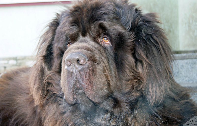 Фотография № 175822