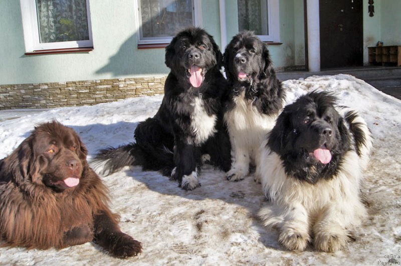 Фотография № 175828