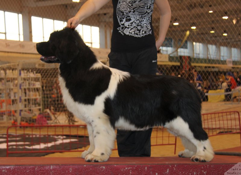 Фотография № 175829