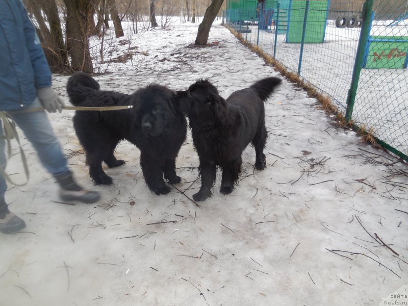 Фото: [d13486] и  [d11380]