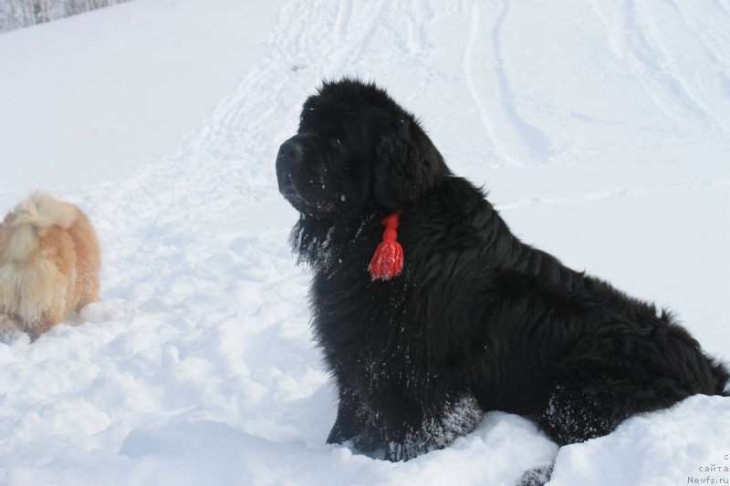 Фотография № 175878