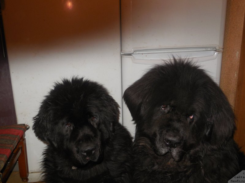 Фотография № 175879