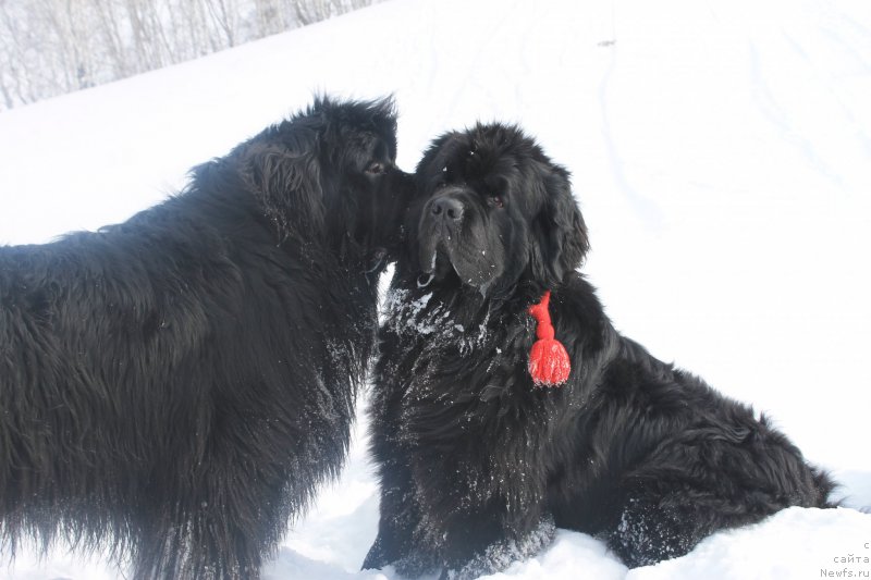 Фотография № 175880