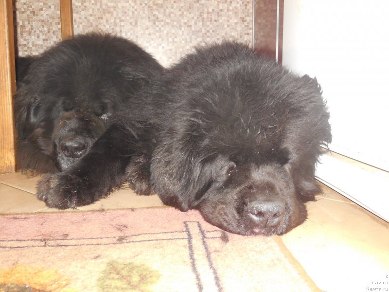 Фотография № 175881