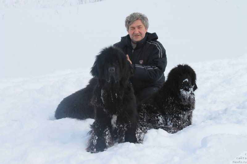 Фотография № 175883