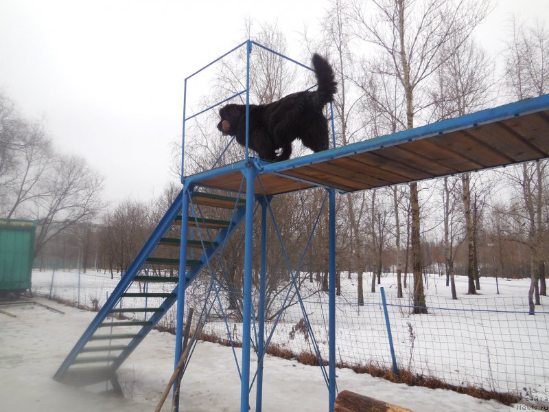 Фотография № 175885