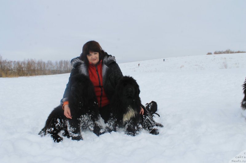 Фотография № 175886