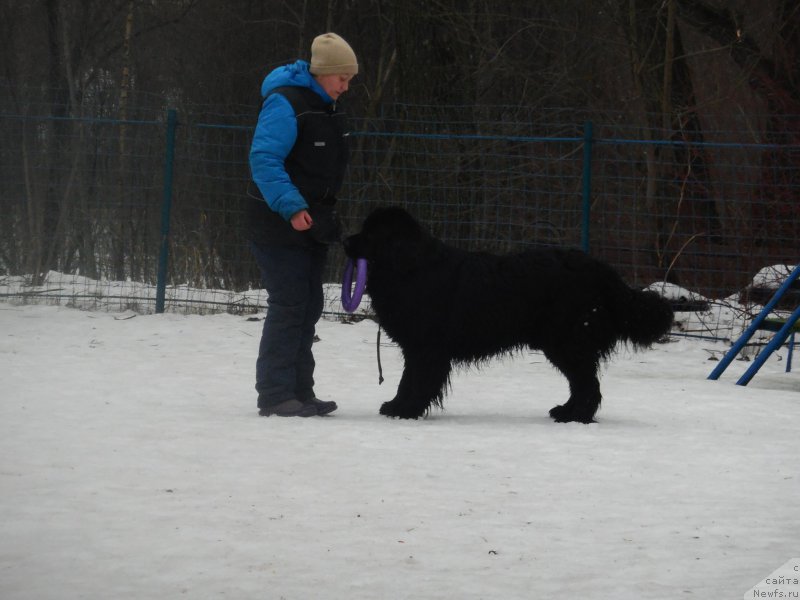 Фотография № 175889