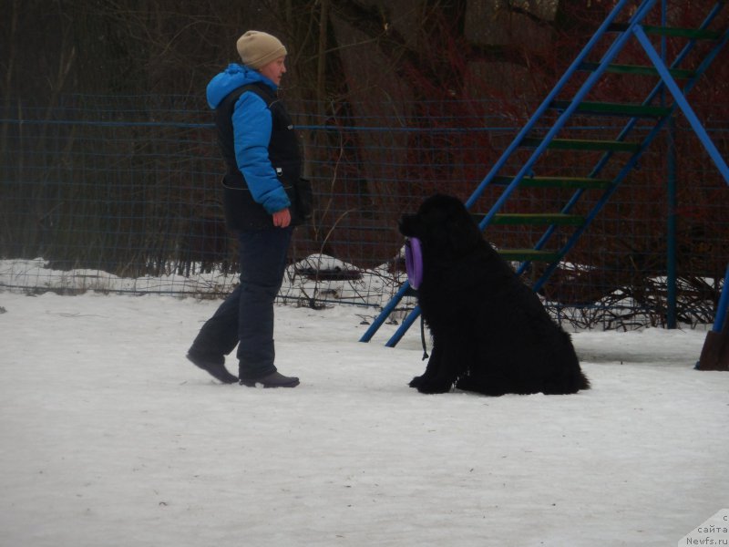 Фотография № 175891