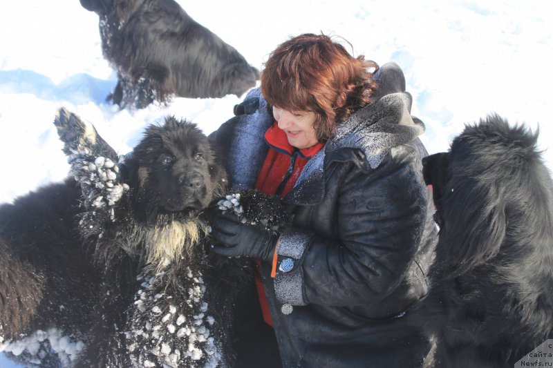 Фотография № 175892