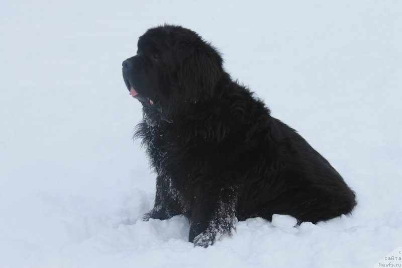 Фотография № 175896