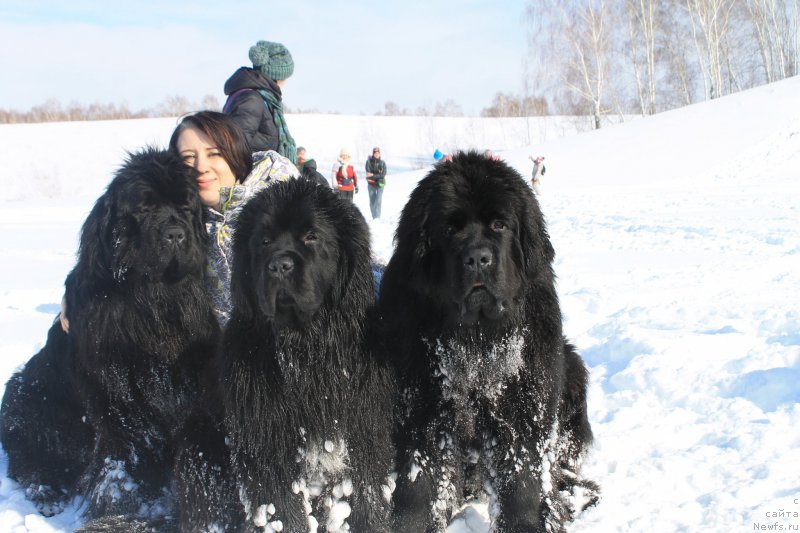 Фотография № 175898