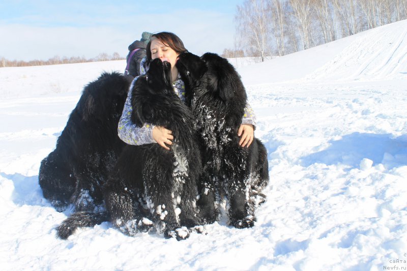 Фотография № 175899