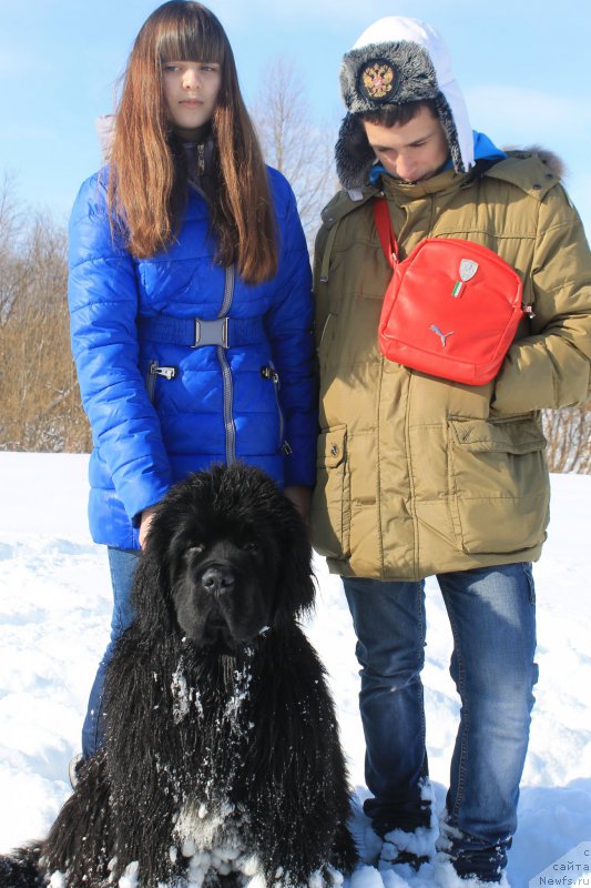 Фотография № 175900