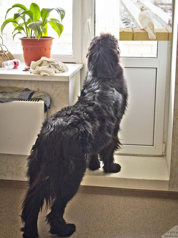 Фотография № 175903