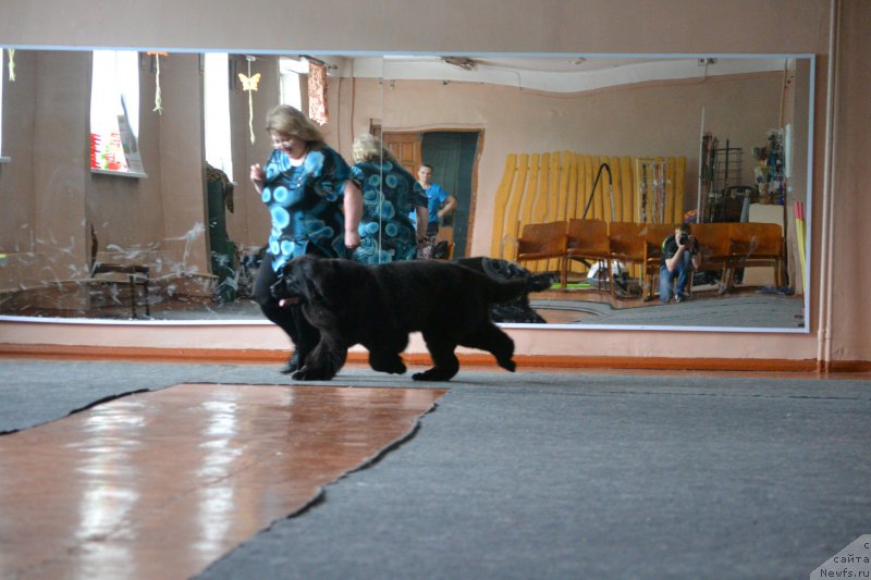 Фотография № 175926