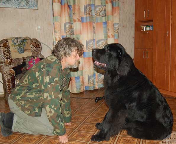 Фотография № 17595