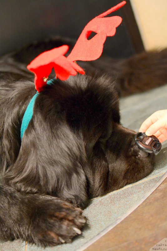 Фотография № 175950