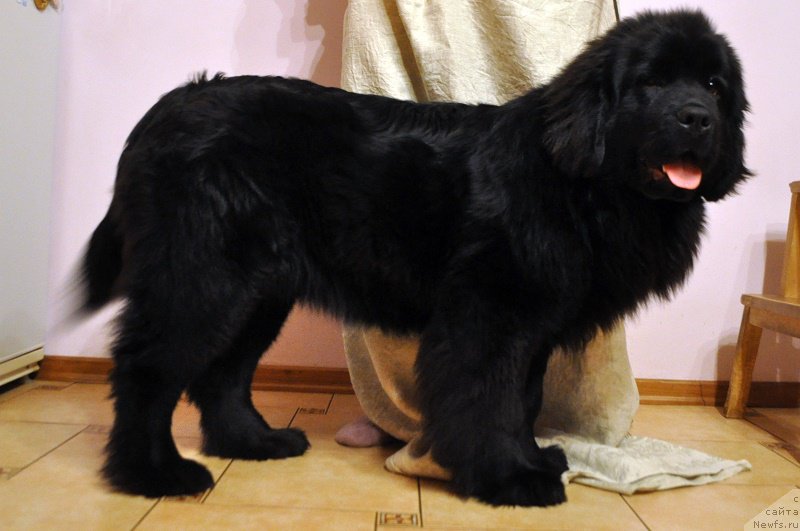 Фотография № 175958