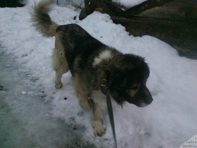 Фото: Наталья Смазчикова