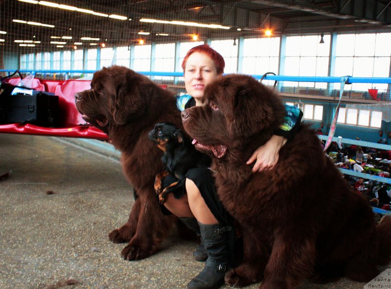 Фотография № 175985