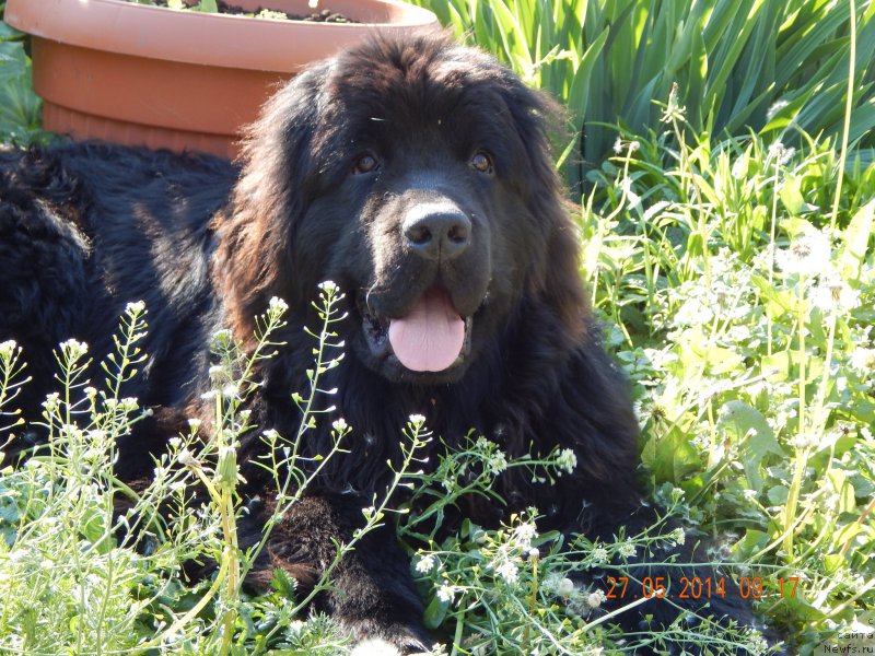 Фото: Светлана Панкова