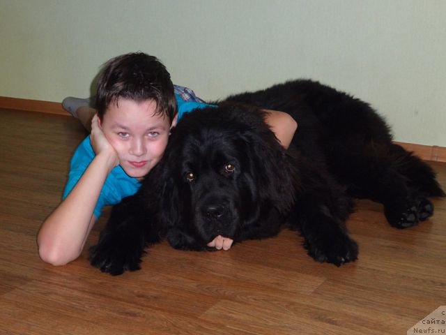 Фотография № 176000