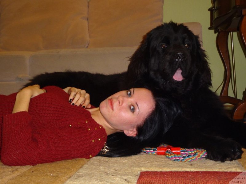 Фотография № 176001