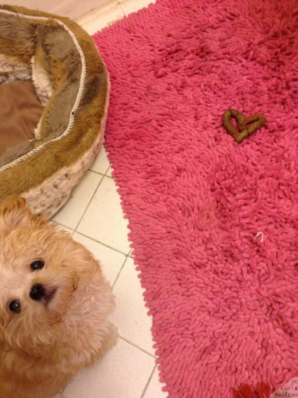 Фото: Сергей Жуков