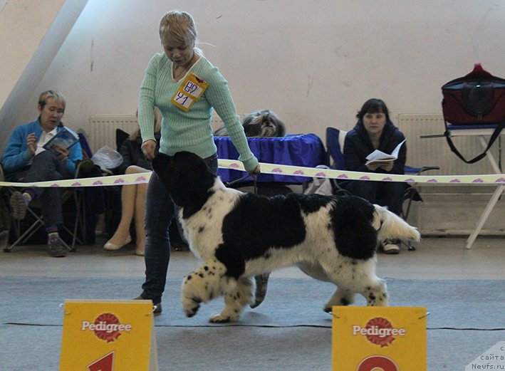 Фотография № 176015